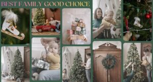 Best Family Health Insurance Plans in India – Comprehensive coverage.