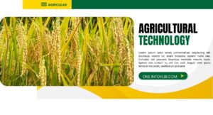 Agriculture Insurance in India – A Complete Guide Hindi. 4 Agriculture Insurance in India – A Complete Guide Hindi.