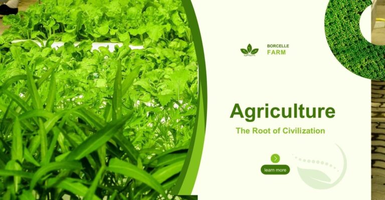 Agriculture Insurance in India