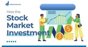 Stock Market Investment