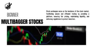 Multibagger Stocks India - Find the Next Wealth-Creating Shares. 3 Multibagger Stocks India
