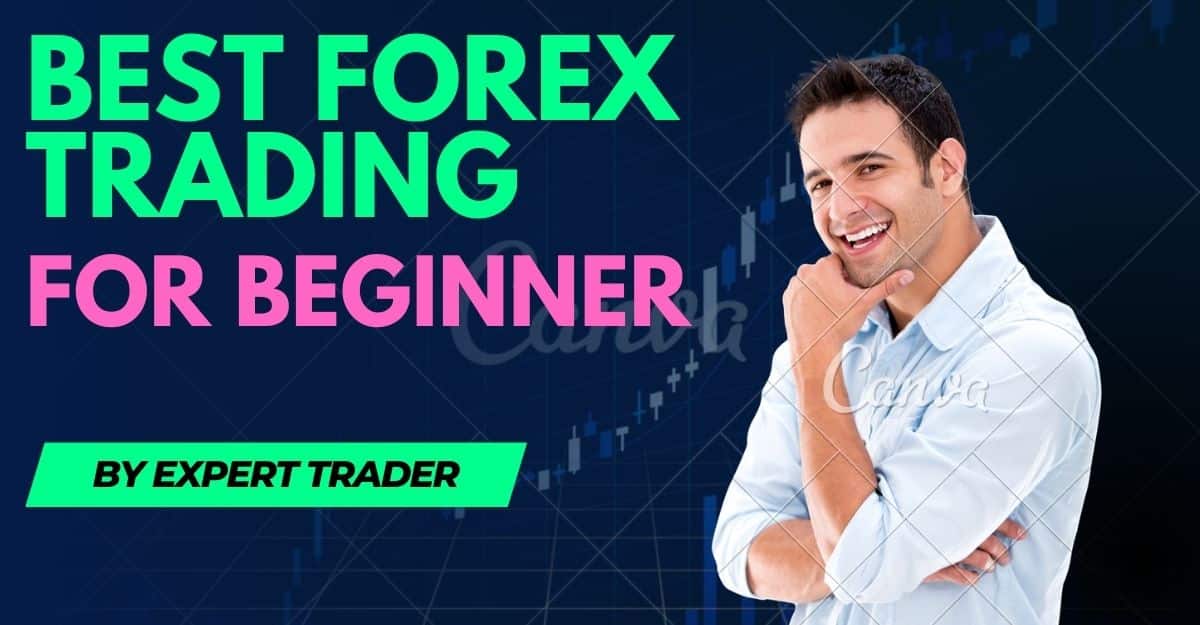 best forex trading for beginners