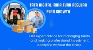 Tata Digital India Fund Regular Plan Growth