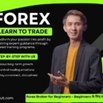 Forex Broker for Beginners